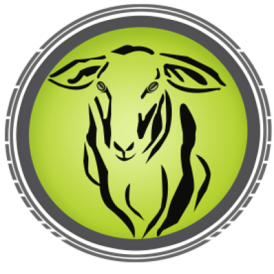 مزرعة فيصل الحربي للمواشي